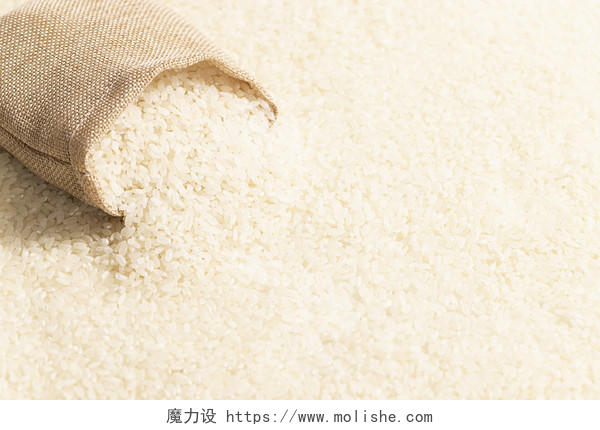 大米稻穗世界粮食日创意